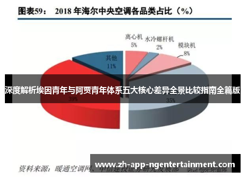 深度解析埃因青年与阿贾青年体系五大核心差异全景比较指南全篇版